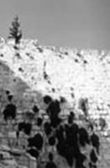 Walls of Old Jerusalem