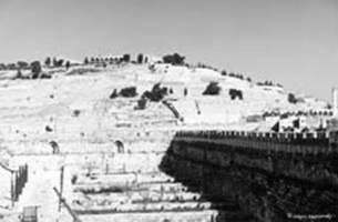 Hills and terraces (Jerusalem)