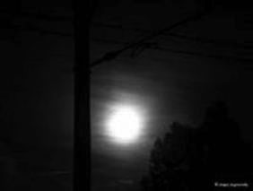 In moonlight